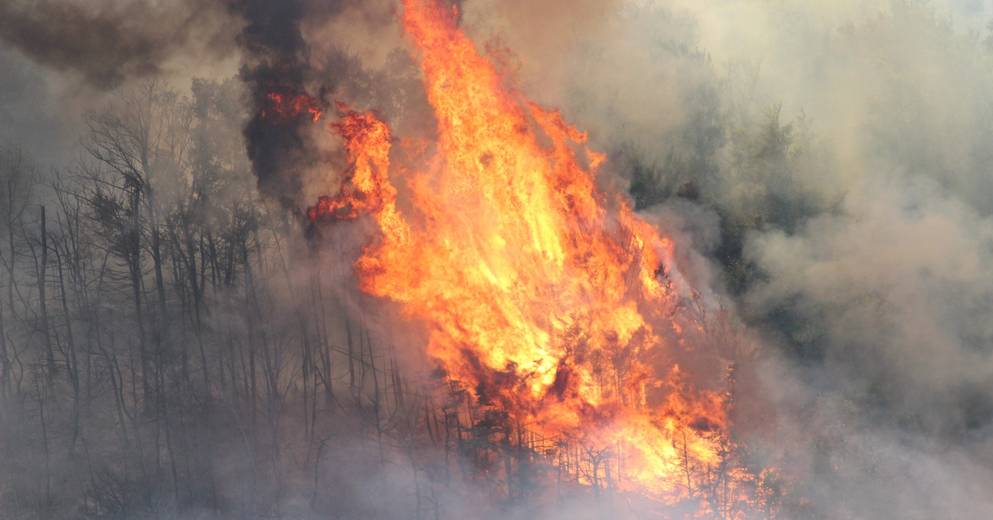 , Hautes-Alpes : le feu à Saint-Bonnet-en-Champsaur vient d&rsquo;être fixé