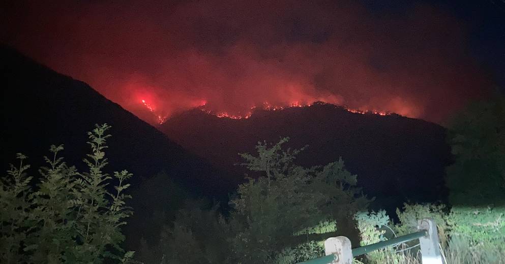 , Hautes-Alpes : un feu de forêt en montagne a déjà parcouru près de 90 hectares en cinq heures